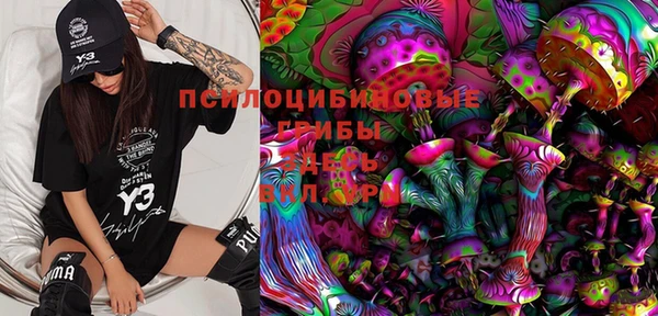 марки nbome Бородино