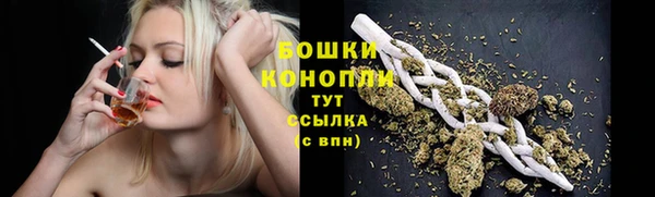 стаф Бугульма