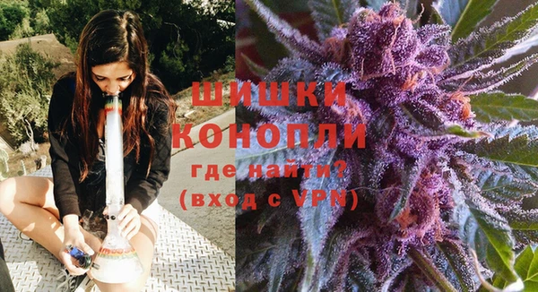 стаф Бугульма