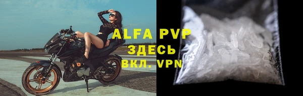 стаф Бугульма